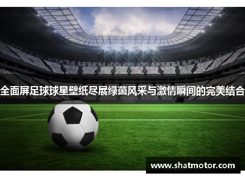 全面屏足球球星壁纸尽展绿茵风采与激情瞬间的完美结合